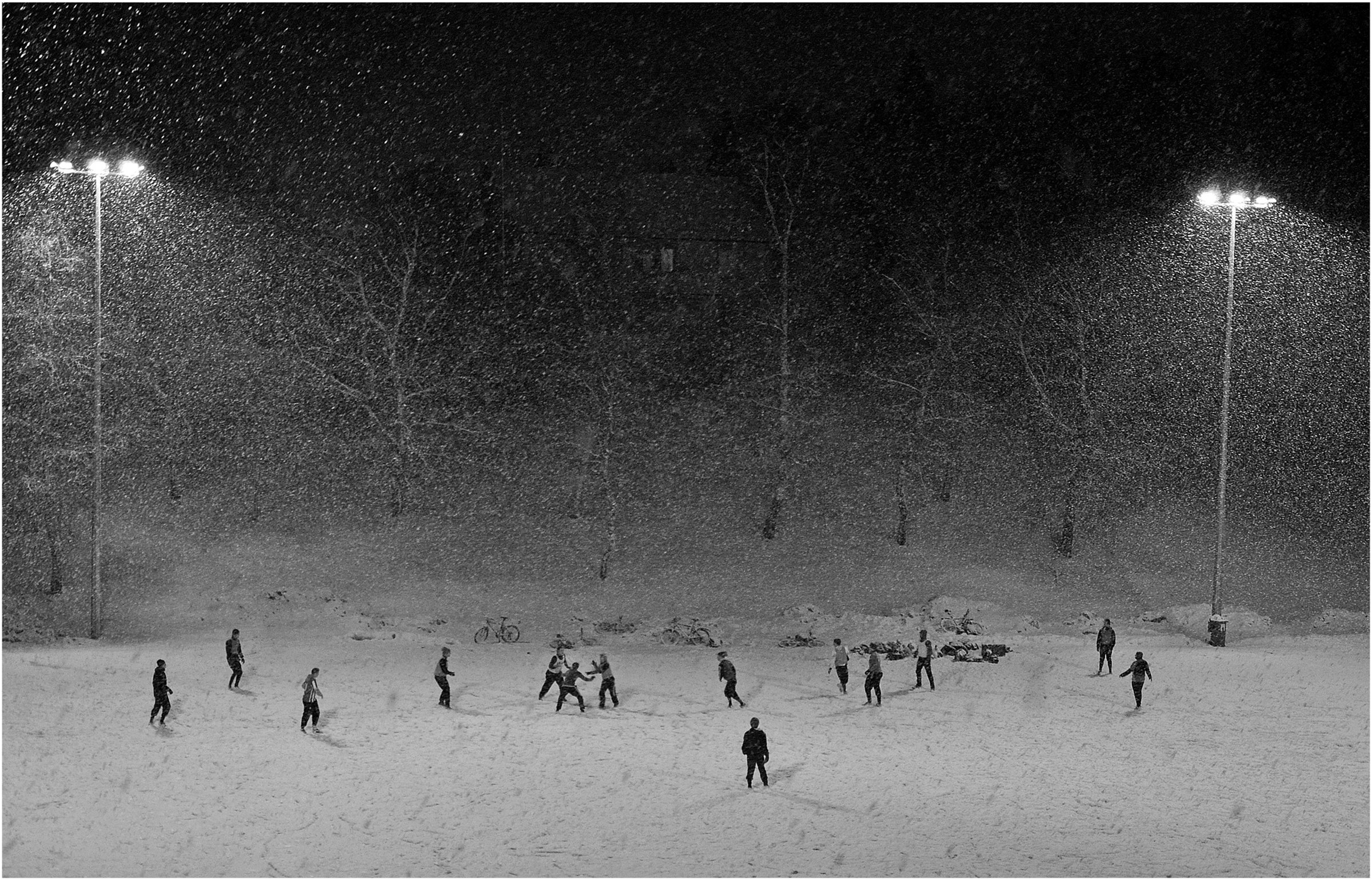 Månedens bilde, Januar 2017 – Fritt motiv