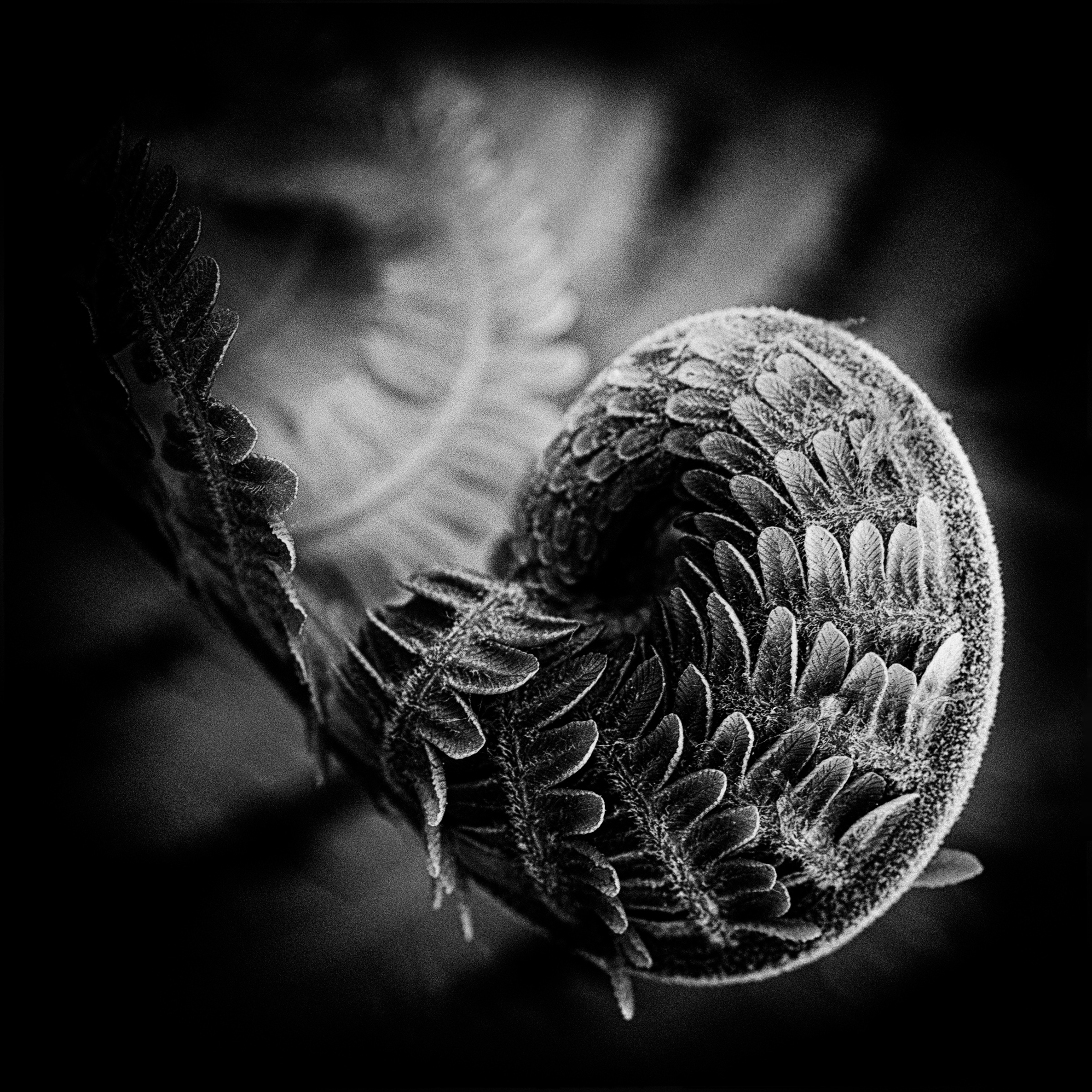 Månedens bilde, april 2018 – Brytning