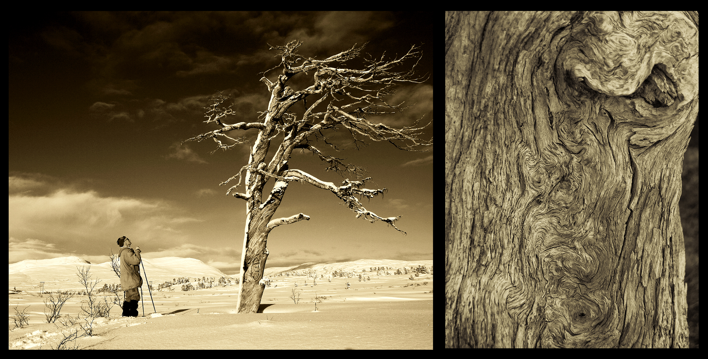 Månedens bilde, mai 2019 – Diptyk