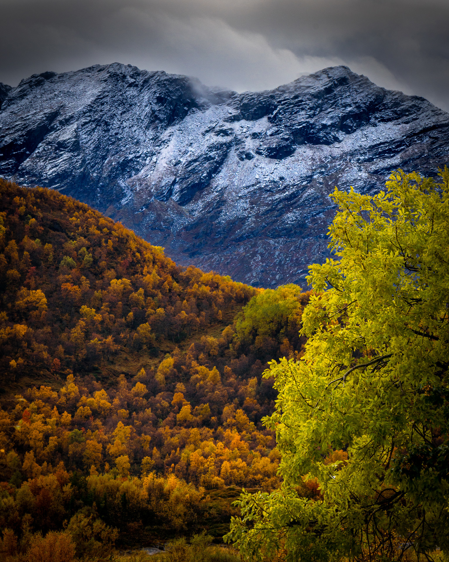 Månedens bilde, mai 2020 – To årstider