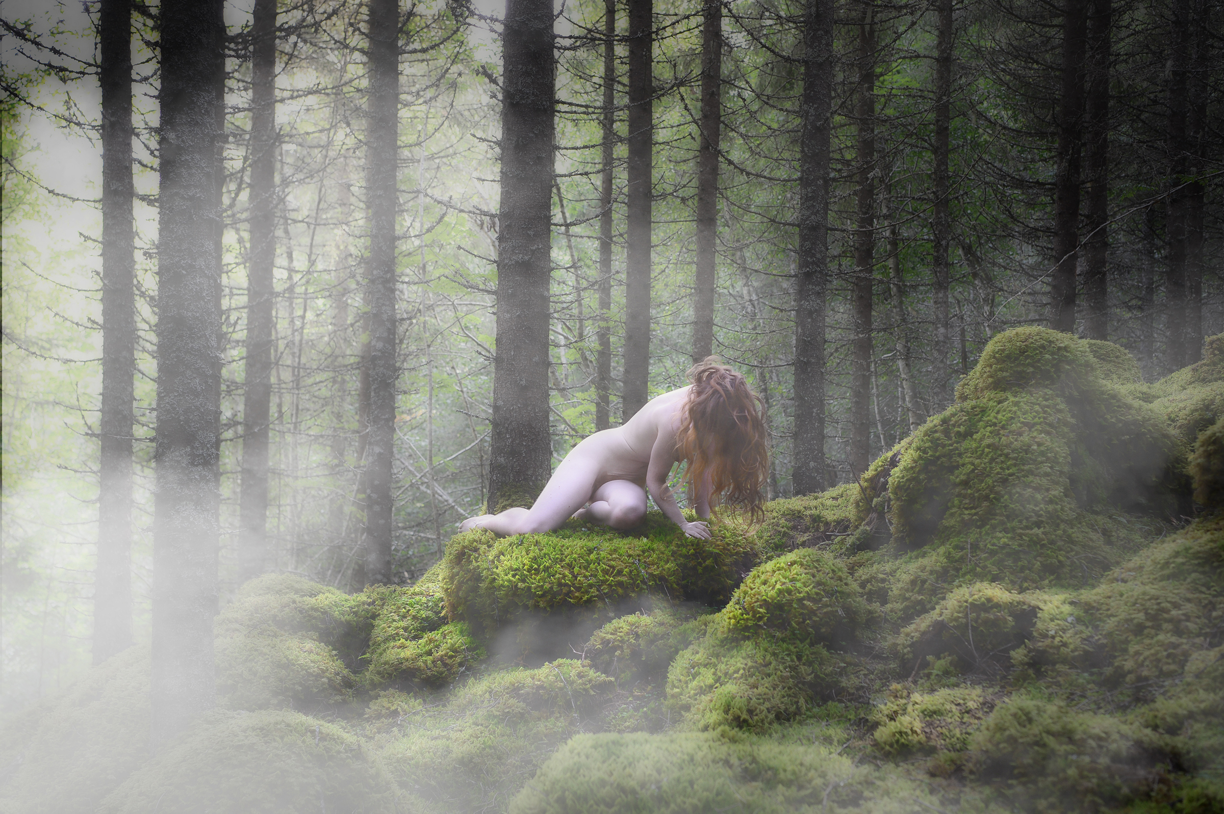 Månedens bilde, september 2020 – Eventyr