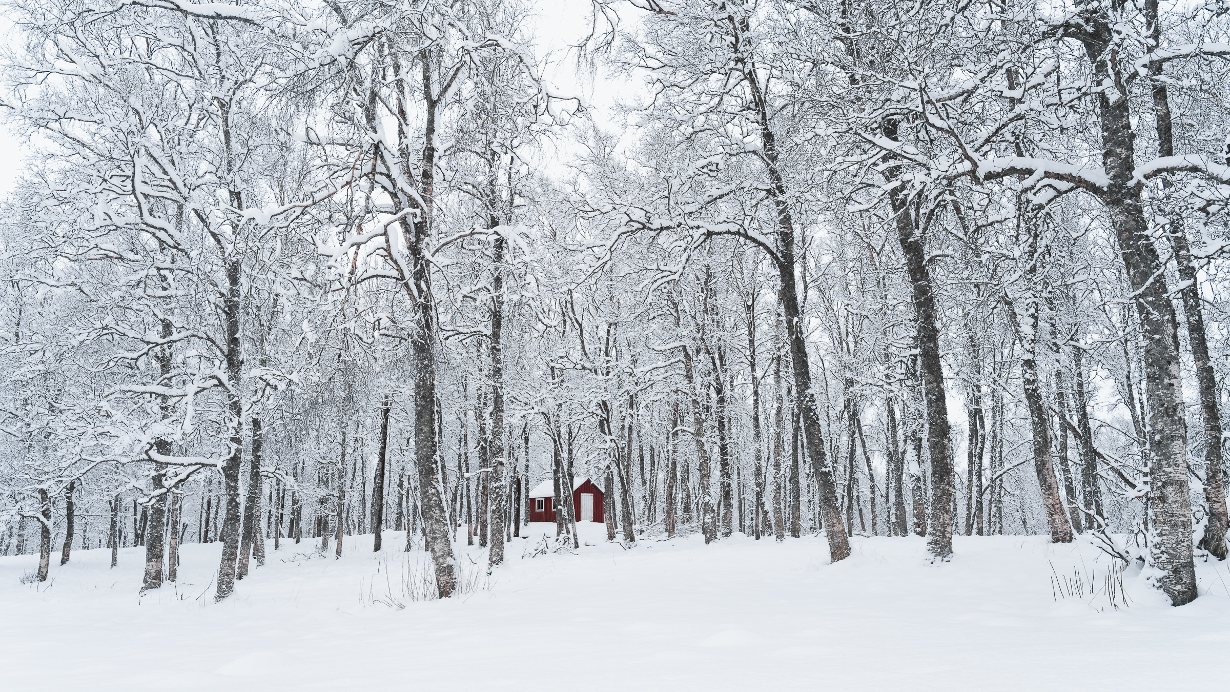 Månedens bilde, mars 2021 – Is/snø