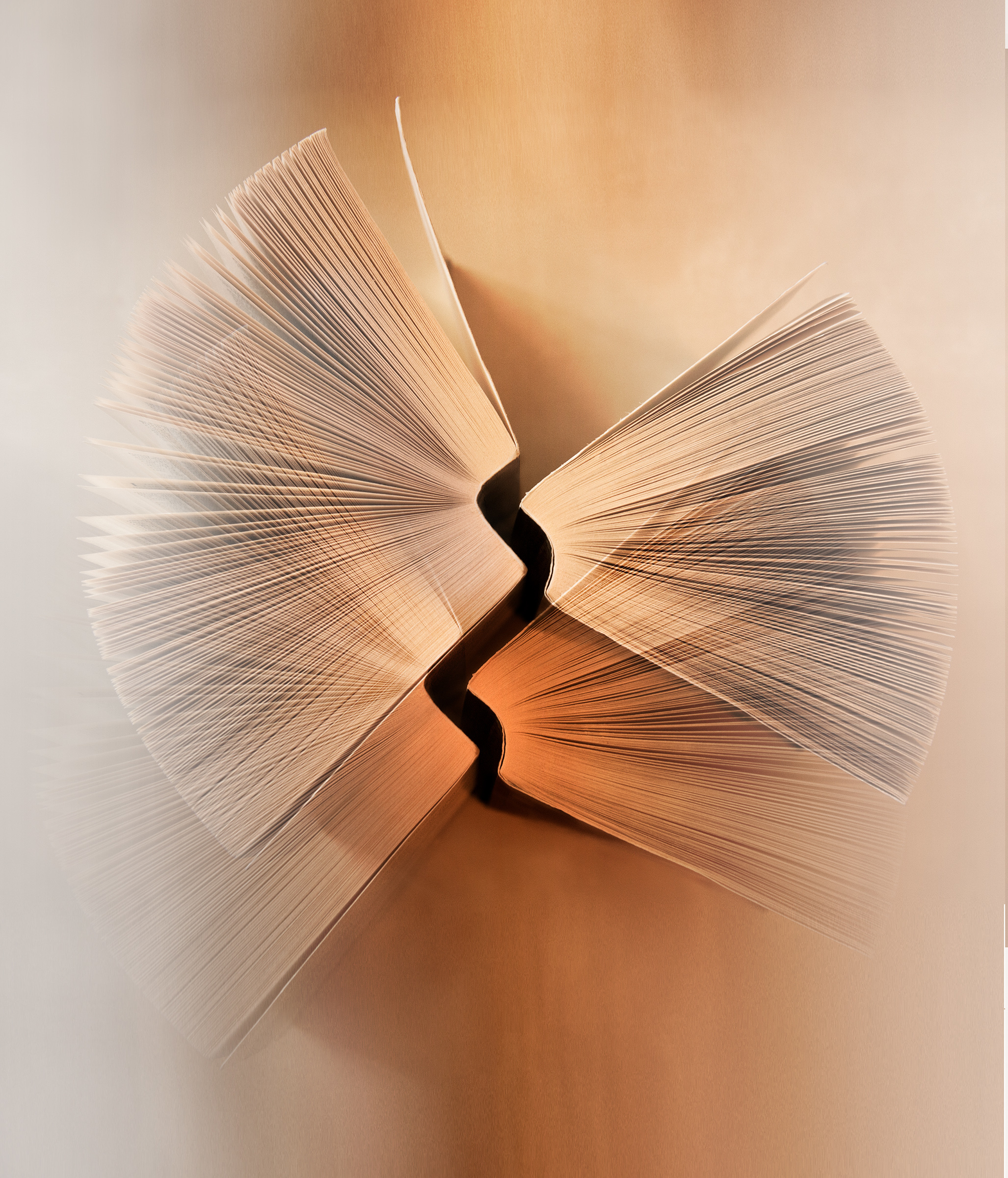 Månedens bilde, november 2021 – Sikksakk