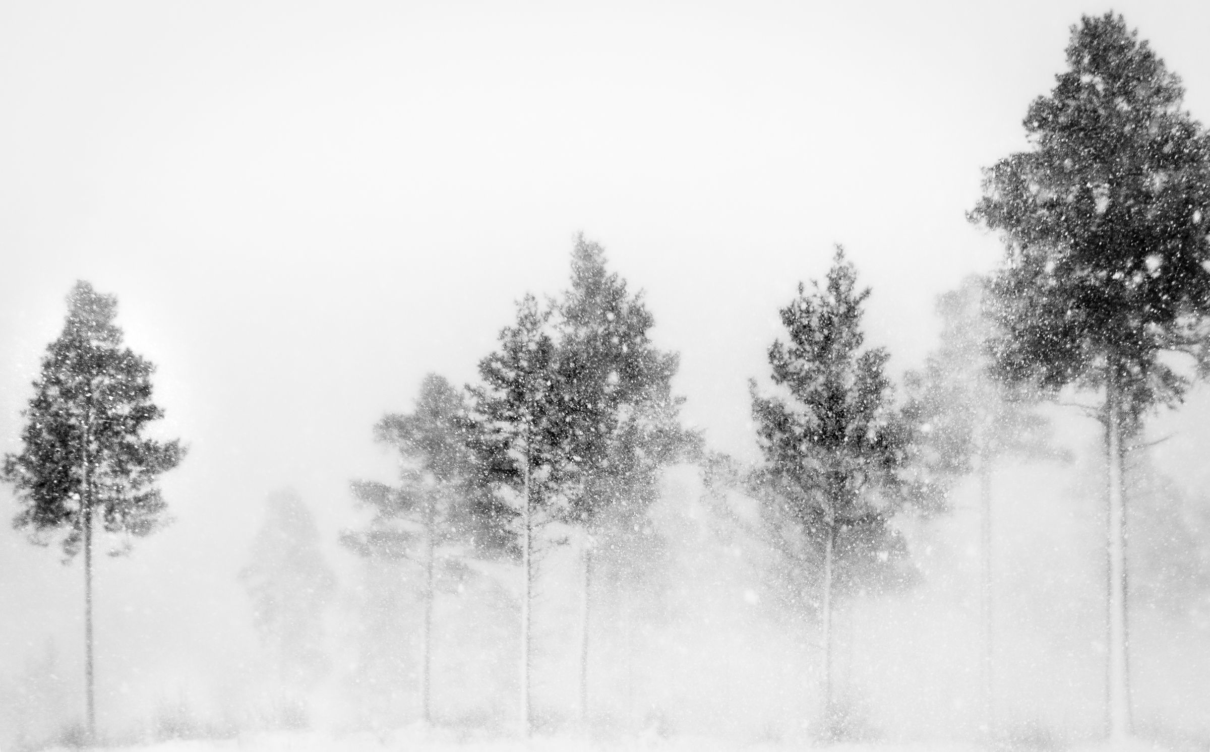 Bernt Petter Brandsle, Ragnarok