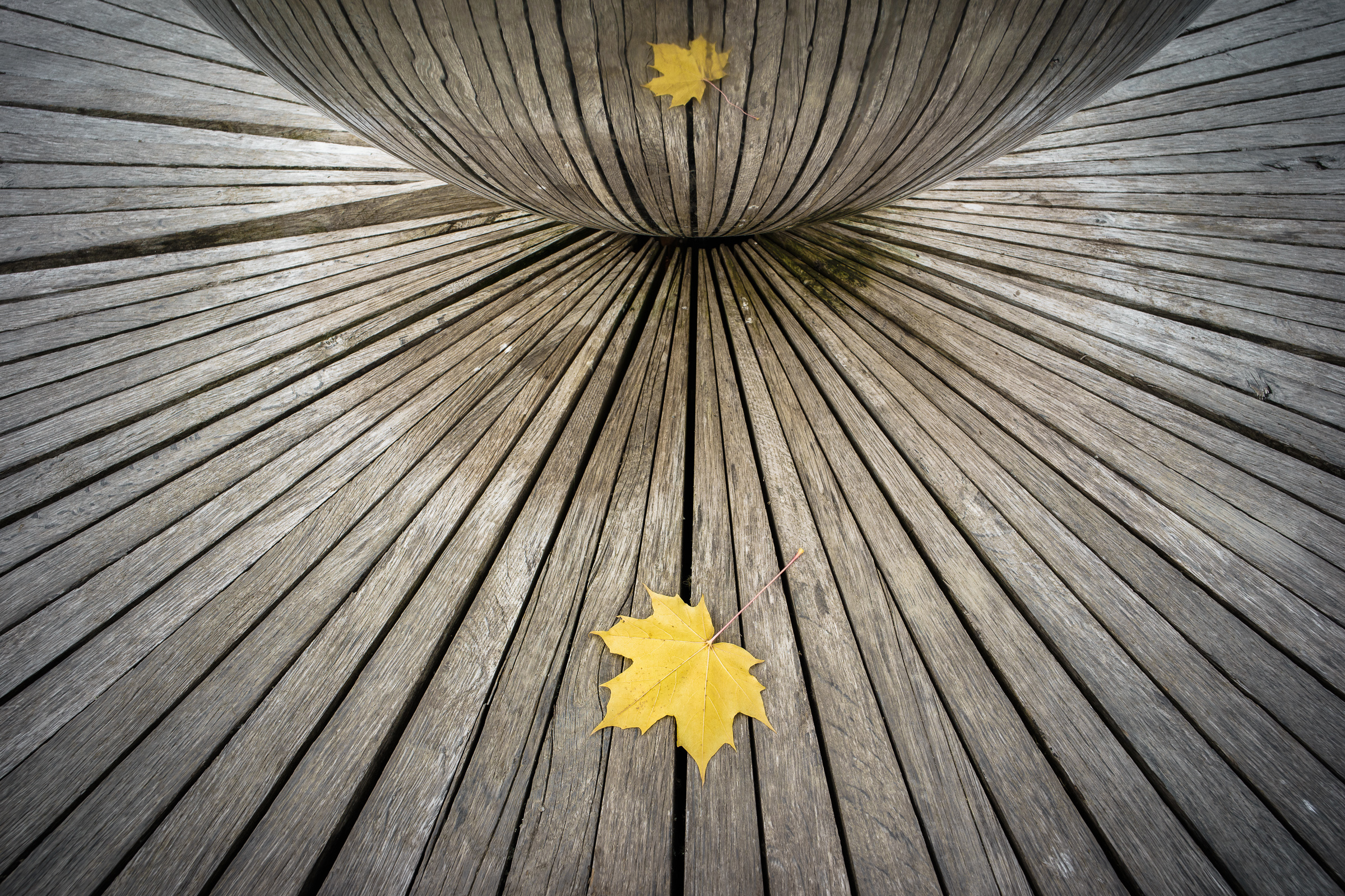 Månedens bilde, april 2023 – Gjenspeilinger / speilbilder