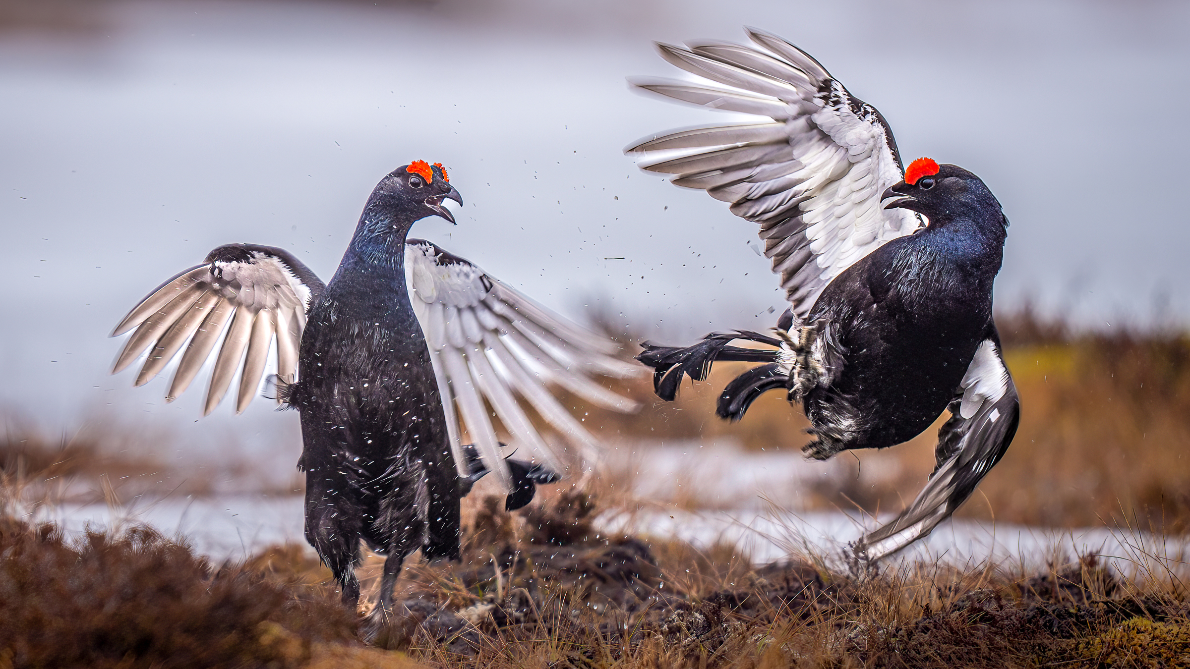 Månedens bilde, september 2023 – Natur