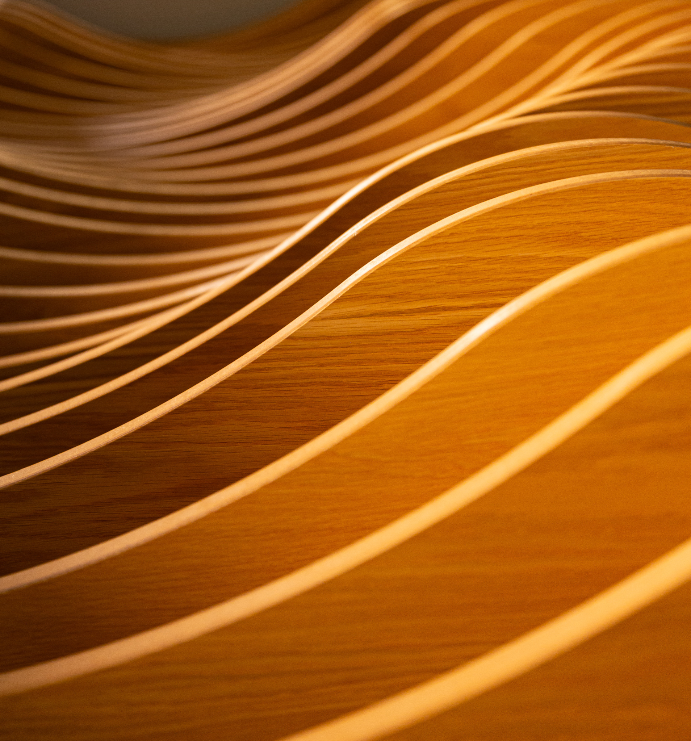 Månedens bilde, oktober 2023 – Abstrakt