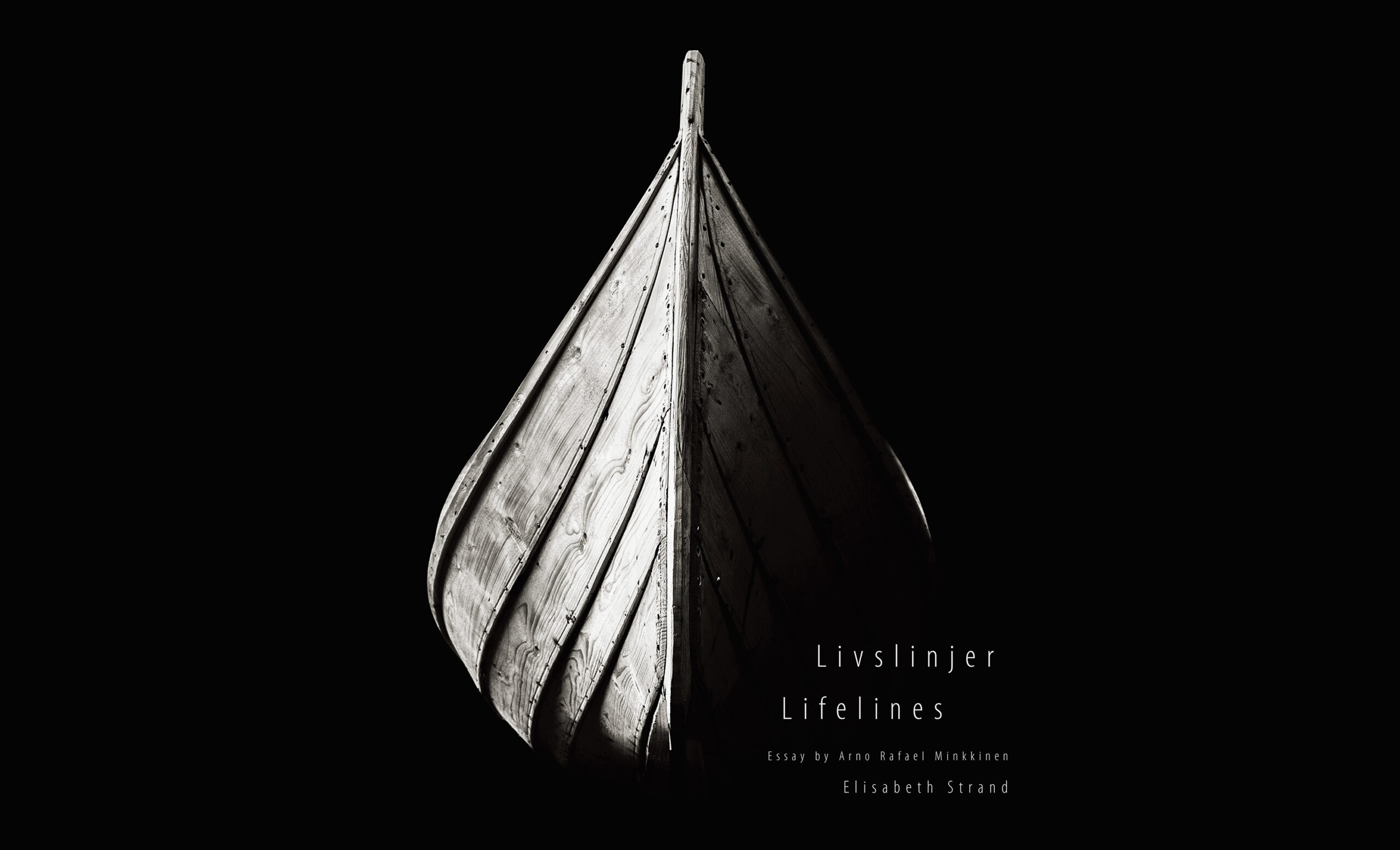 Elisabeth Strand - Livslinjer (bokomslag)