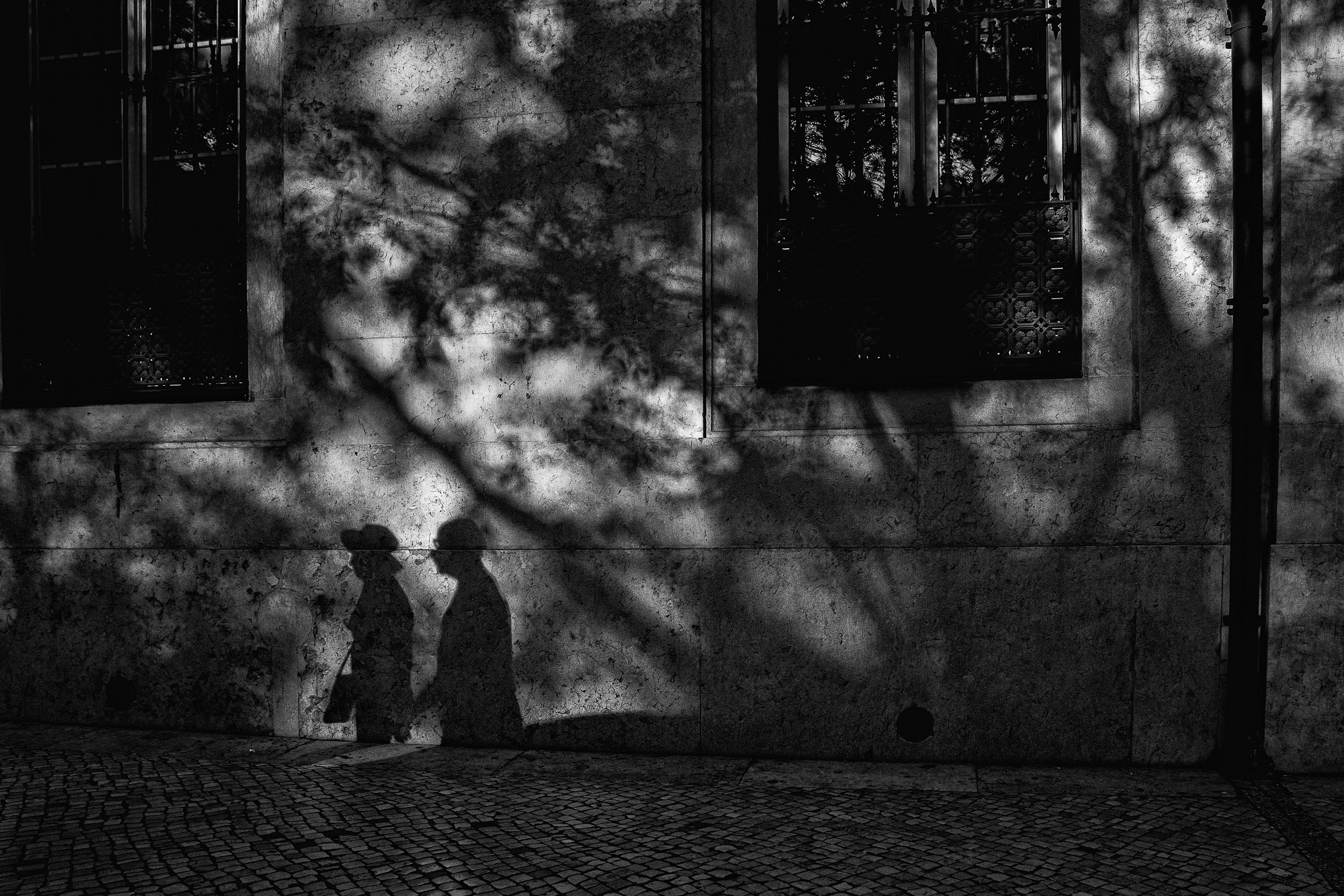 Linh Hoang, Fill in the shadows