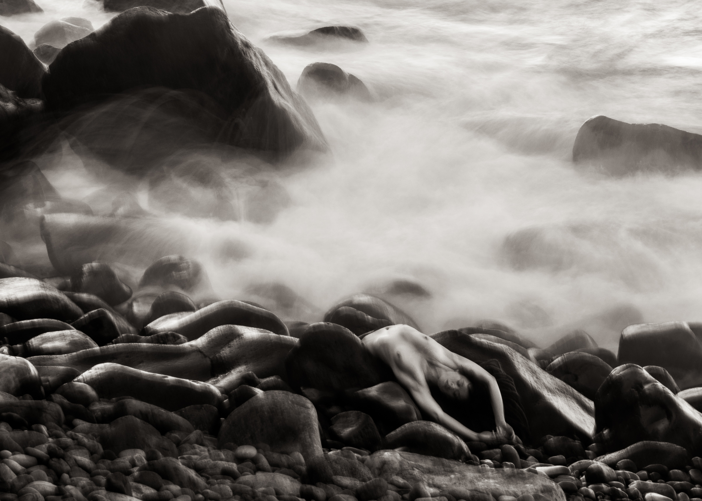 Månedens bilde, januar 2025 – Fritt motiv