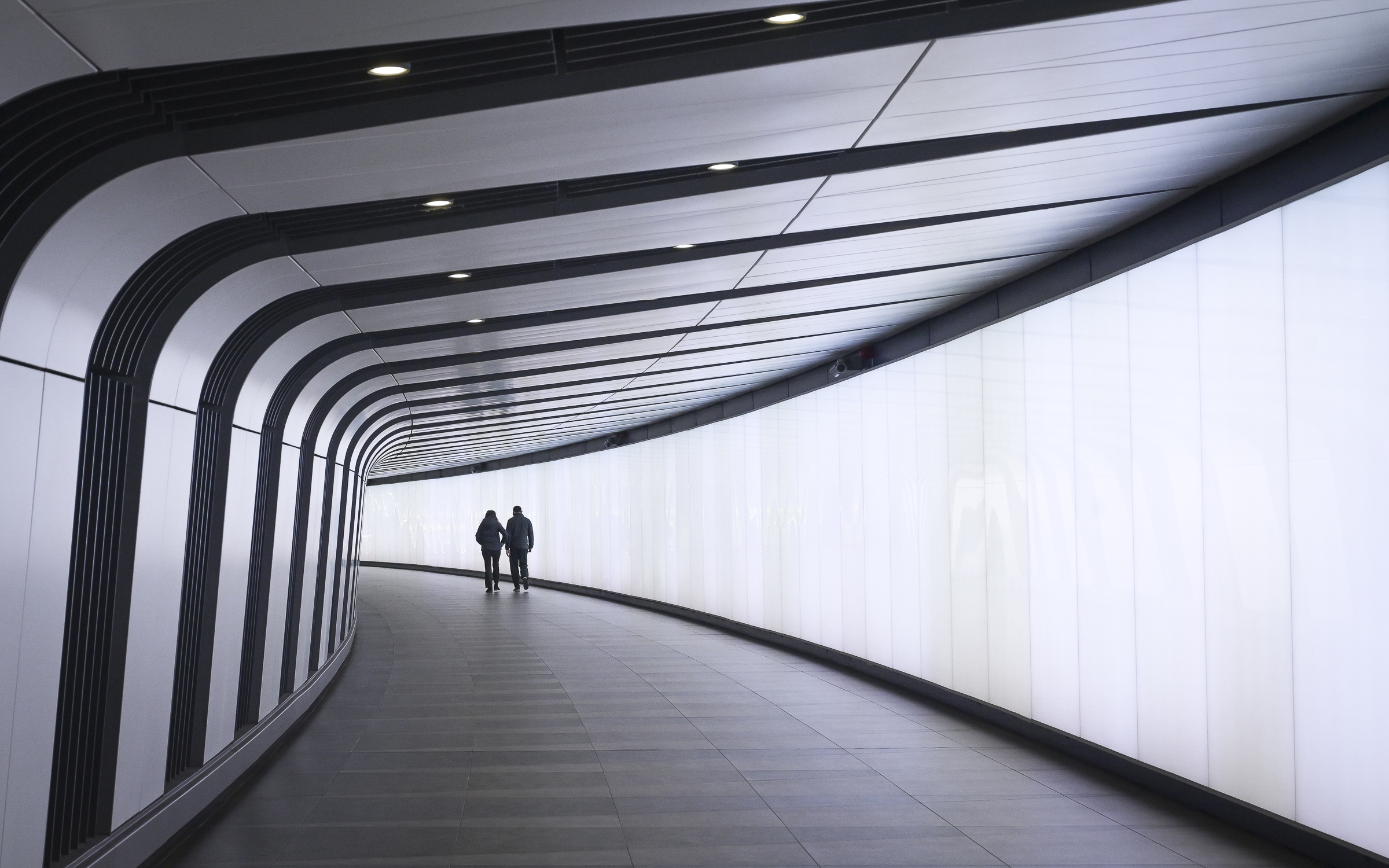 Månedens bilde, februar 2025 – Linje og form